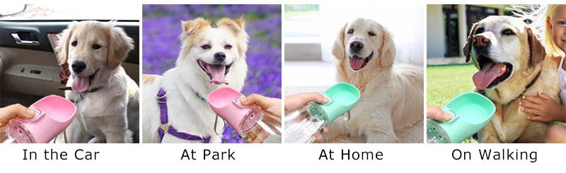 Portable Leakproof Dog Water Bottle & Bowl for Outdoor Adventures